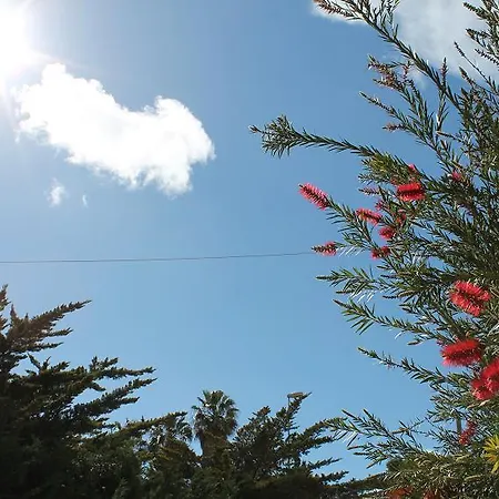 בית נופש Case Vacanza Le Mimose גאליפולי